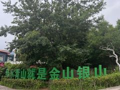 -仰口沙滩