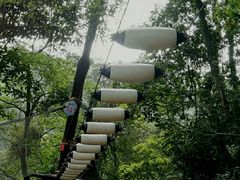 -天鹿湖森林公园