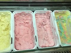 -上海海洋水族馆