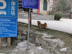 -西安祥峪森林公园