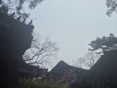 -红螺寺