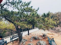 -红螺寺