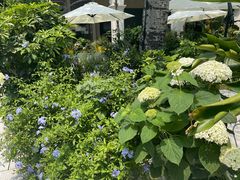 -漆黑觉米粉(三里屯店)