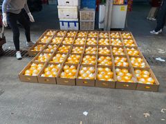 -三亚新鸿港水果一级批发市场