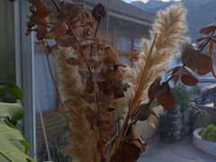 -唐咖精品咖啡(大理古城手冲店)