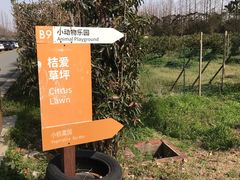 -前小桔亲子创意农场·草莓采摘·露营烧烤