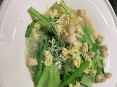 -前海沿·青岛菜(大拇指广场石老人店)