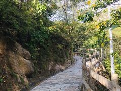 -大岭沟猕猴桃谷风景区