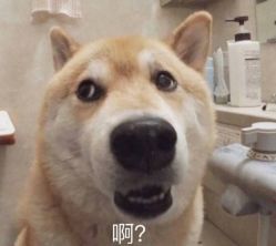-时尚殿堂·颜SPA