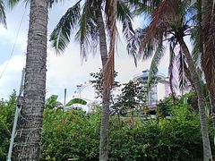 -白沙门生态公园