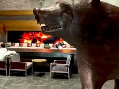 -清河半岛温泉度假酒店