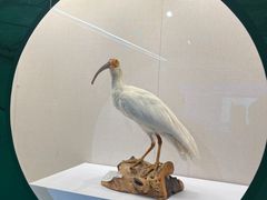 -中国湿地博物馆