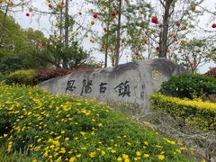 -恩阳古镇