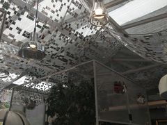 -维苏唯披萨(青云街店)