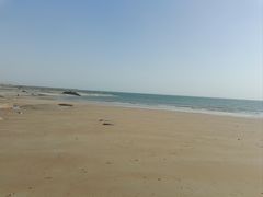 -日照灯塔风景区