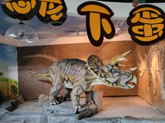 -安徽省地质博物馆