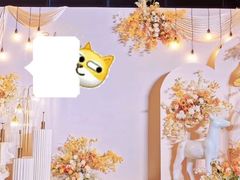 -经典婚纱摄影美学馆·私人定制
