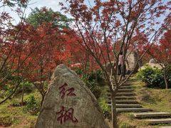 -广州市帽峰山景区