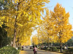 -四川大学(望江校区)