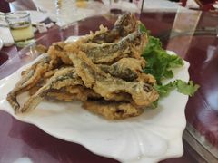 -鑫渔港海鲜本地菜·山海关浑锅(东戴河店)