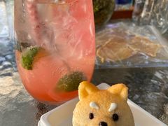 -柴犬高等学院·狗咖·柴犬售卖·宠物训练