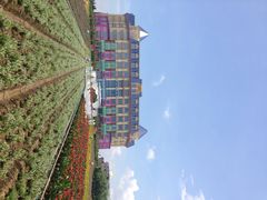 iphone_upload_pic-广州花之恋城堡酒店