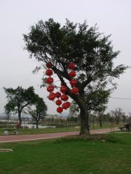 大红灯笼随风飘-云湖游乐园