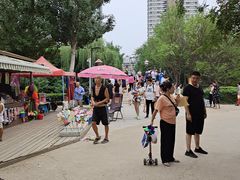 -长白岛森林公园