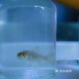 “想” 非著名艺术家的小型展览