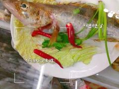 -全乐鱼馆·淳牌有机鱼直营店