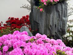 -梧桐山风景名胜区