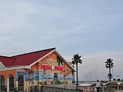 -碧海金沙