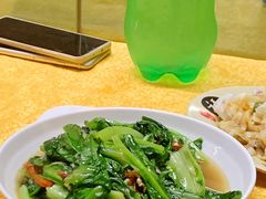 鲮鱼油麦菜-化州肥仔大排档(建安二路店)