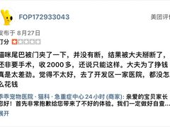 -乖乖宠物医院·猫科·急重症中心(车站北路分院)