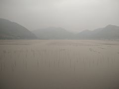 -北岐滩涂