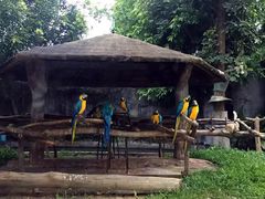 -清迈夜间动物园