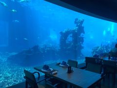 -海棠湾洲际-涛·海底餐厅·美人鱼·自助餐·海底隧道