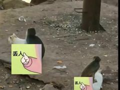 -昆明动物园