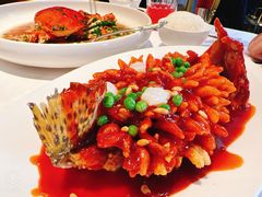 松鼠桂鱼-玫瑰厅上海菜(兴国路店)