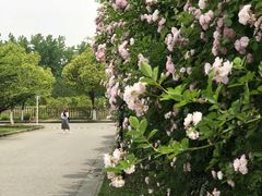 -江南大学(蠡湖校区)