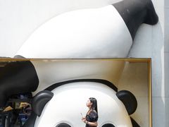 -泡桐树街