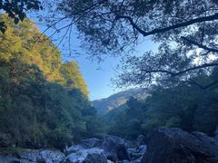 -石台牯牛降景区