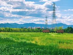 -永定河休闲森林公园