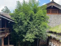 -田德能咖啡博物馆