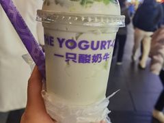 -一只酸奶牛(八一路店)