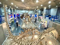 -国家自然博物馆