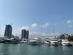 -小猫钓鱼海钓俱乐部(椰梦长廊店)