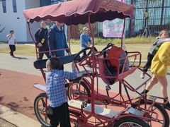 -上海长兴岛郊野公园