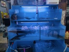 -韩妹鱼庄·泸定老字号(泸定店)