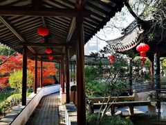 -上海醉白池公园